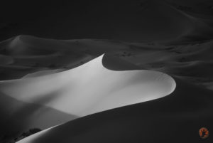 Dune Curve Morocco wlogo